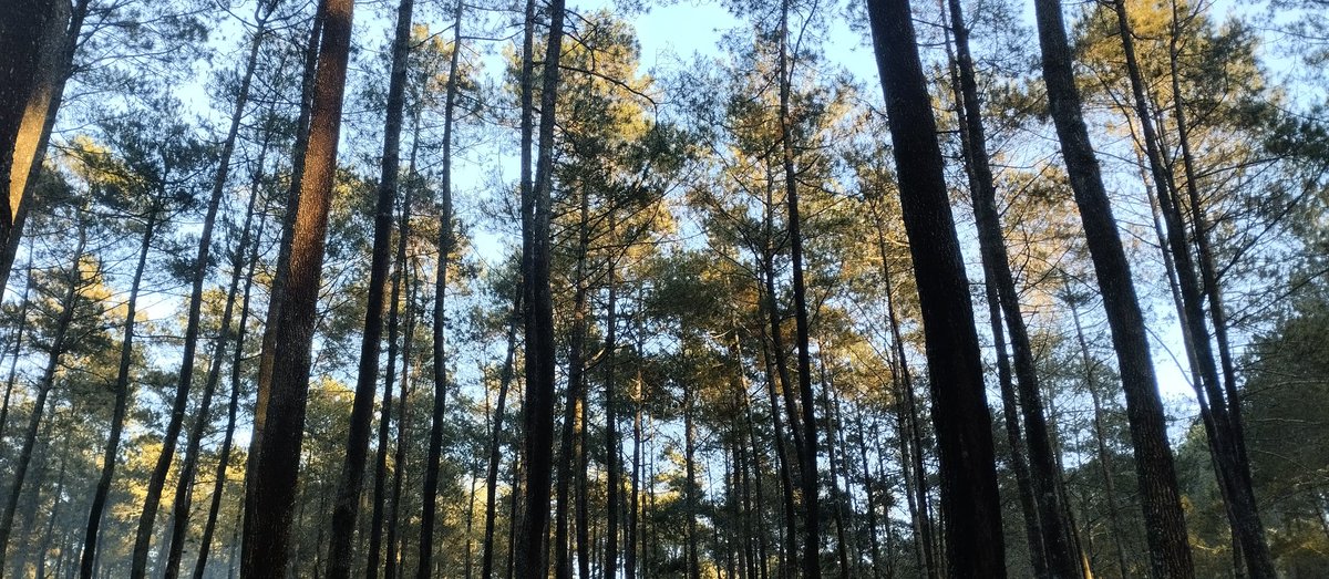 dauz qr (@dauzwae) on Twitter photo 