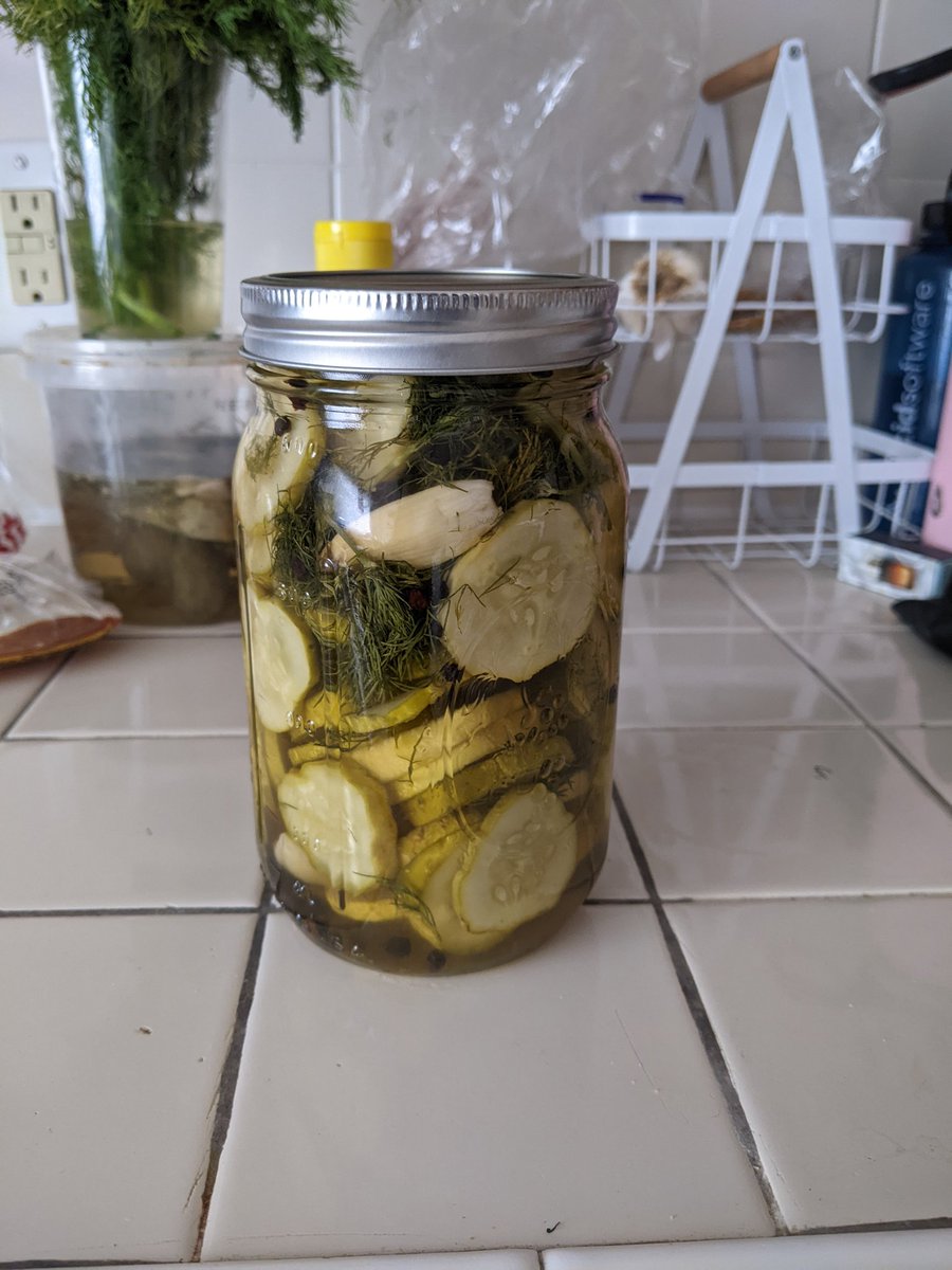 pamushiberia's tweet photo. #picklewatch https://t.co/bxP5hOmODI