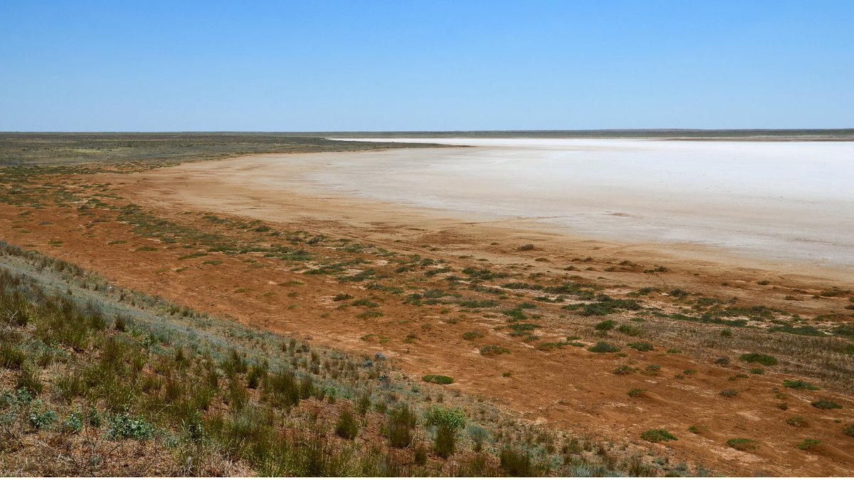 BETA_TechCentre's tweet photo. 👉🏼 Freshwater ecosystems are becoming saltier due to human activities. The effects of increased #salinity can lead to cascading trophic interactions, affecting ecosystem functioning. 🏞️❌

Know more in this new scientific paper
🔽🔽🔽
https://t.co/QsFEEbRNPh https://t.co/TaswUOZmOp