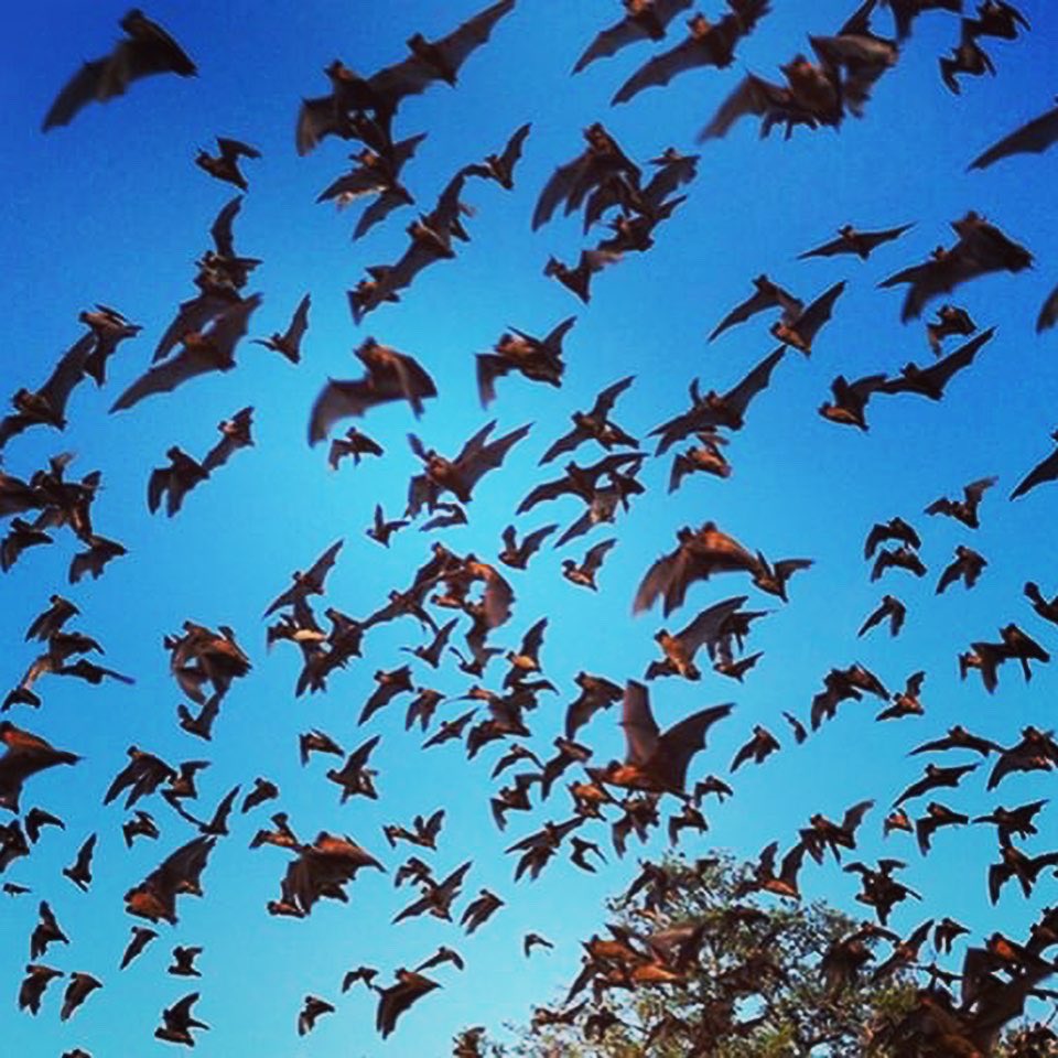 Sarah Gish tweet media