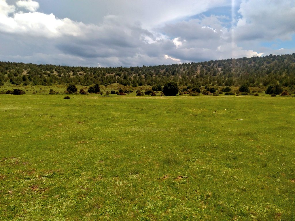 Rubn_mm1980's tweet photo. @mongeleon #37de52, #tierra y que tierra más bonita que el Sabinar de Solorio. Hoya Redonda, hace un par de años, tras unas semanas de lluvia. Pedazo gira del hice a mis amigos por pueblos abandonados, la Laguna de Judes, Almadeque...y unos torreznos claro https://t.co/VGE2Xoq39Z