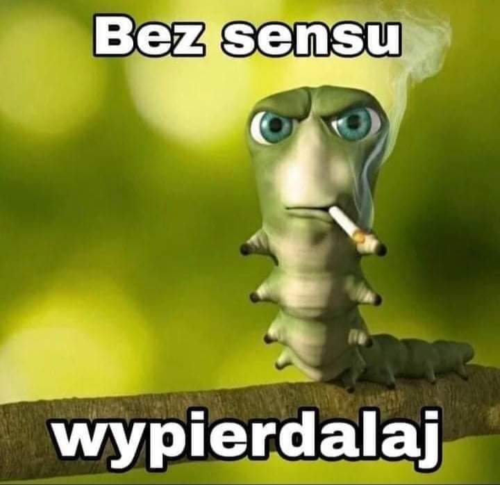Maskarada tweet media
