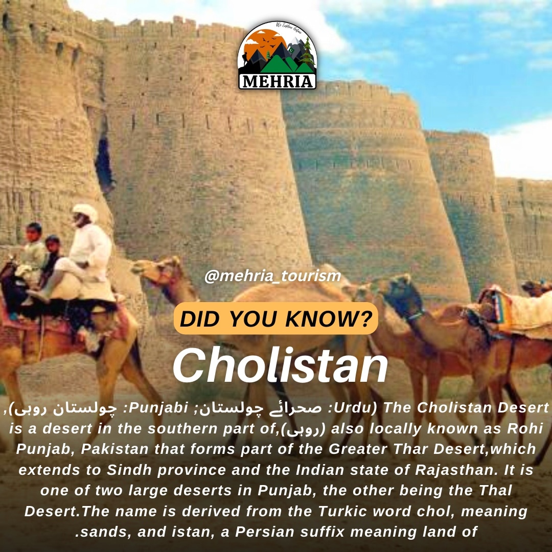 mehria_tourism's tweet photo. The Cholistan Desert, is a Desert in the Southern part of Also Locally Know us Rohi Punjanb.
#beautyofpakistan #cholistan #pakistanicelebrities #pakistanpics #peacefulpakistan #beautifulpakistan #pakistanifashion #igpakistan #instapakistan #hellopakistan #lollywood #Made_in https://t.co/BYmqquMYYA