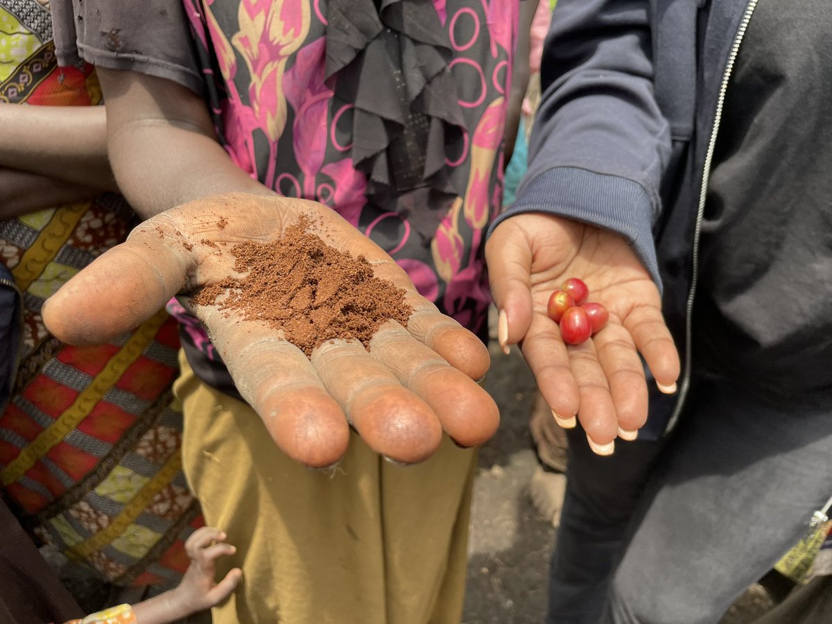 EstherBishweka's tweet photo. J'ai passé une excellente journée aujourd'hui à la plantation de café de Nyangoma (Sud-Kivu) Je suis allée remercier les femmes qui travaillent dans cette plantation car grâce à elles, les clients @KivuEat ont l'un des meilleurs cafés de la région. (1/4)@Ensapu1 https://t.co/ZyhMzCp4qR