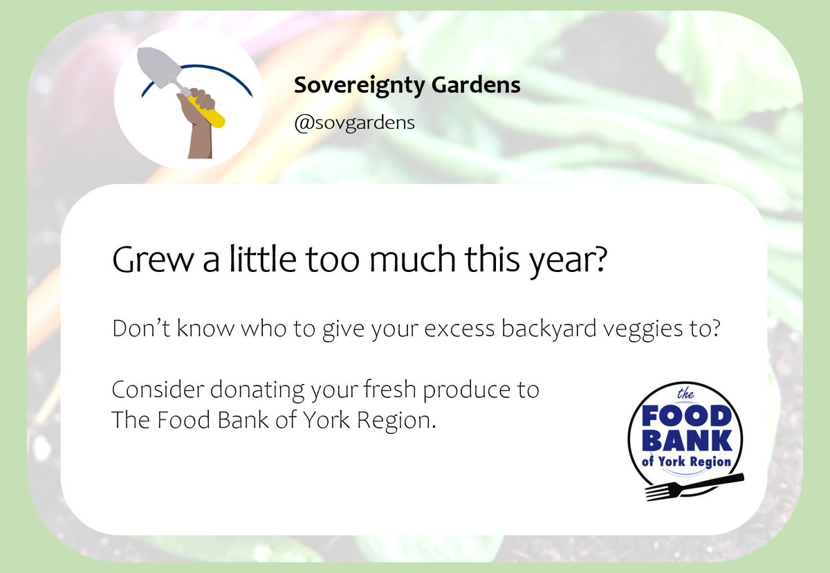 You can participate in #SovGardens by dropping off your homegrown fruits & veggies to @FoodbankYR at 8201 Keele Street, Unit 5/6 Vaughan, Monday - Friday, 8am-2pm. All fresh produce is welcomed in a bag or a box #sovgardens #transformfood #yorkregion #Yrfood #growyourown #donate