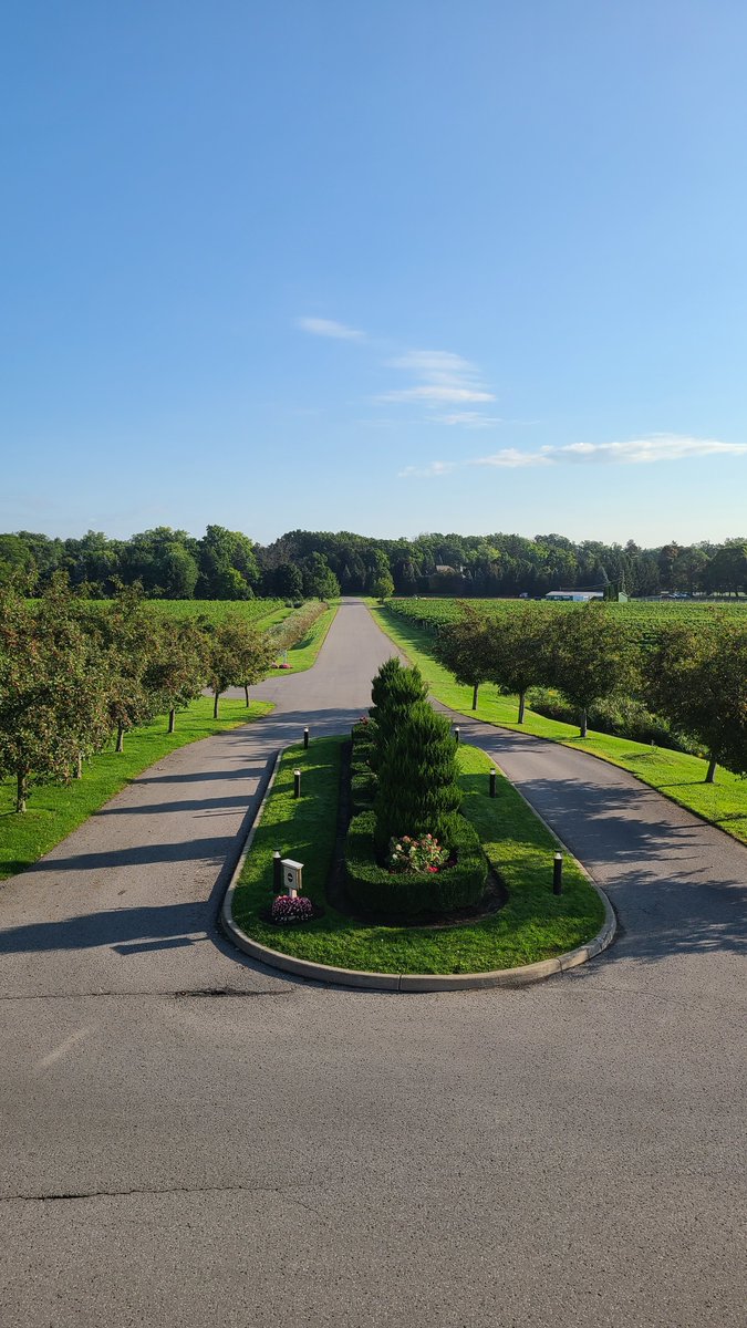 Consider Canada tweet media