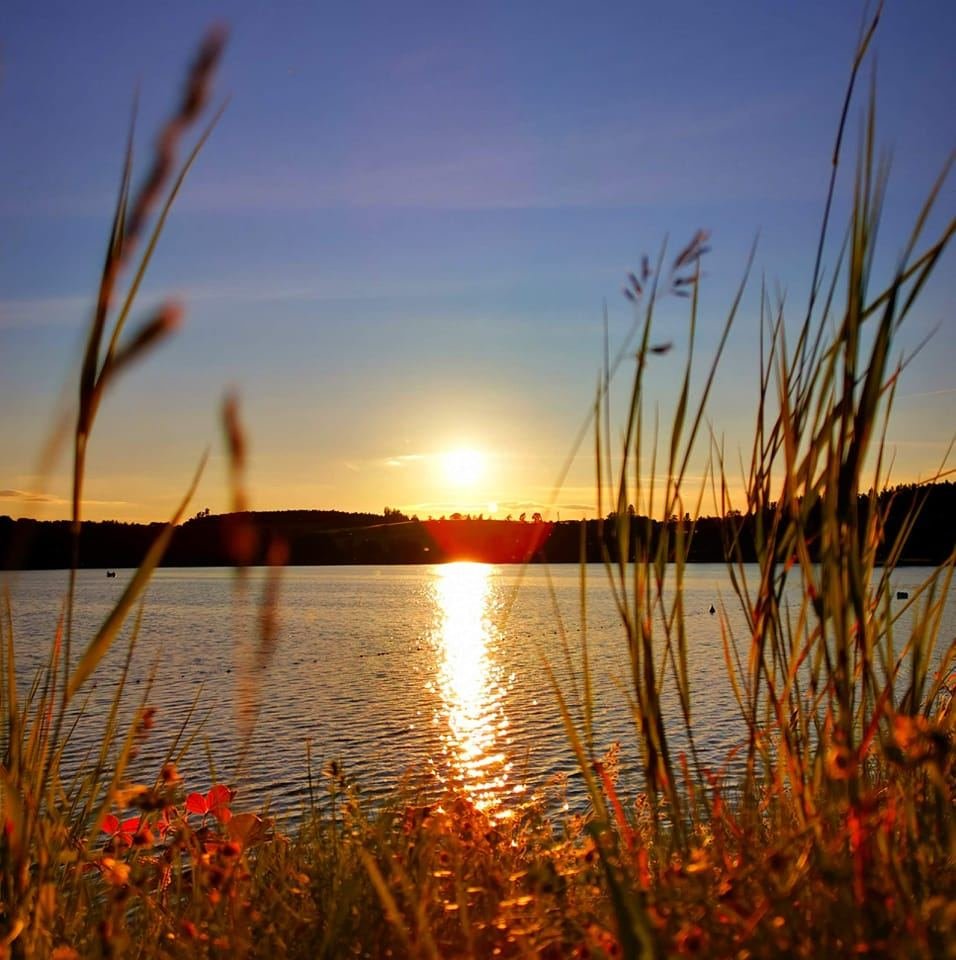 Today's sunshine is full of bright hopes