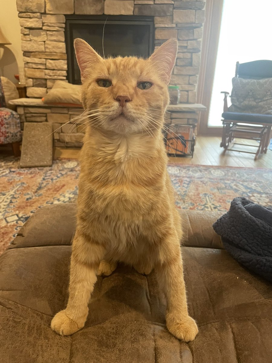 Why he posted up like that