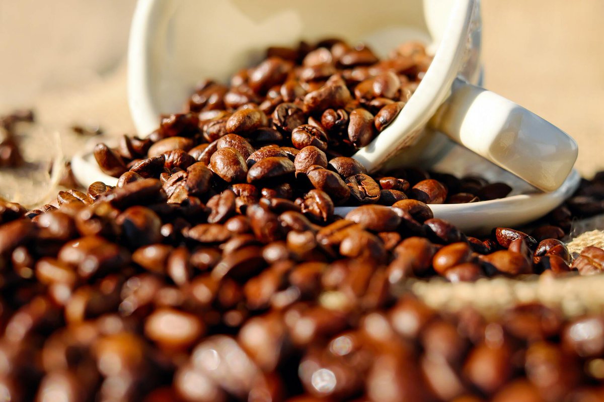 coltercoffee's tweet photo. Bring your customers along on the adventure into a better cup of coffee by offering Colter in your store, now readily available at wholesale pricing on Faire -> https://t.co/j5ltIOfc1U

Because your customers work too hard to drink bad coffee.

#wholesalecoffee #specialtycoffee https://t.co/EeDHlv7MI7