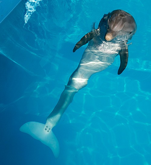 #TBT to Winter in 2008!