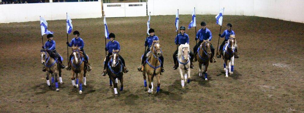 Would you like to compete on an equestrian team for your school and ride horses? A new club is starting at North Marion High, in partnership with Canby High. You will need your own horse, but the group can offer ideas about that: 503-860-5044 or kristeneschweitzer@gmail.com.