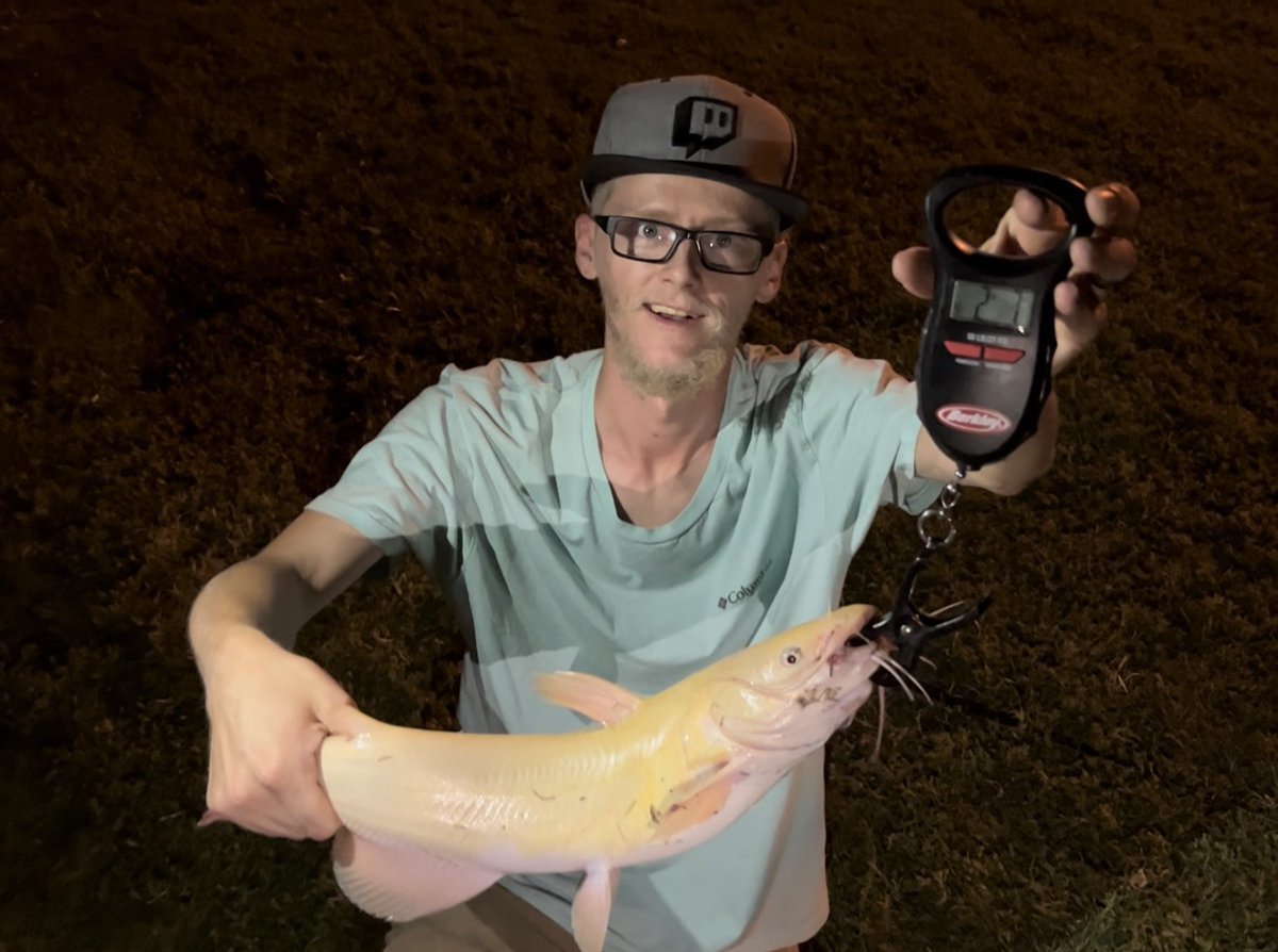 KnotTwinsFishin's tweet photo. Tell me your albino #catfish stories! As a new fisher, this is incredible for me! #fishing https://t.co/VW8HVXLUTB