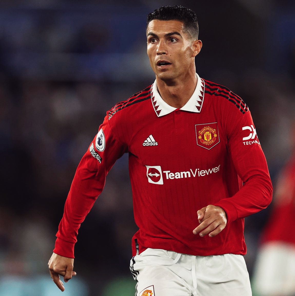 WHITE HART tweet media