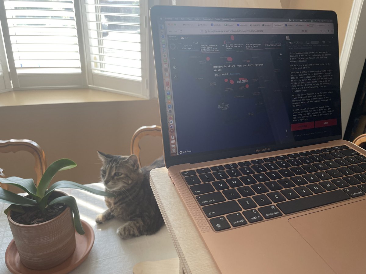 WFH going well. 👩🏻‍💻 🐈‍⬛