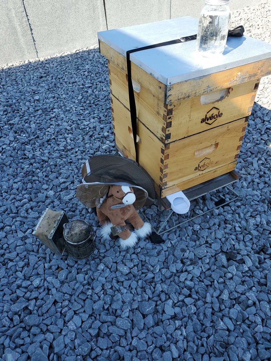 Andrew Horsfield tweet media