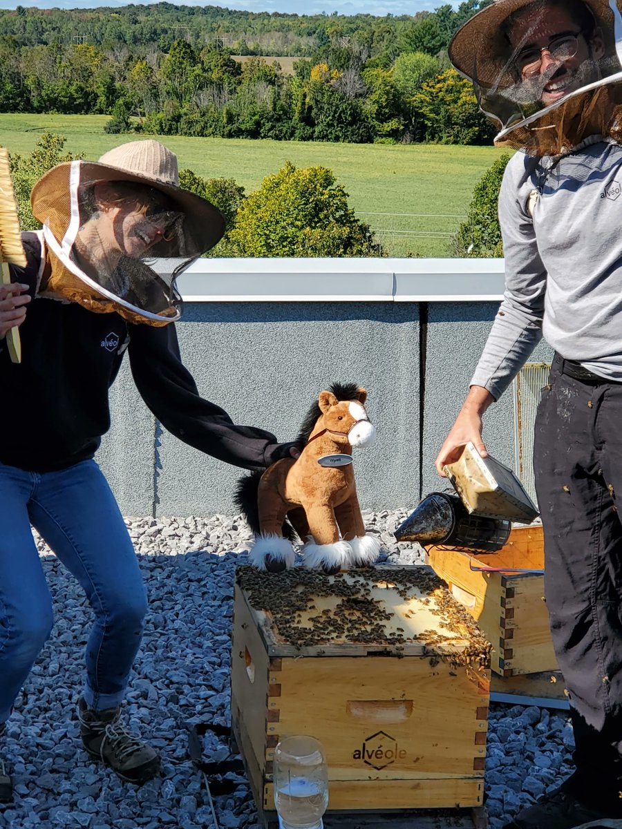 Andrew Horsfield tweet media