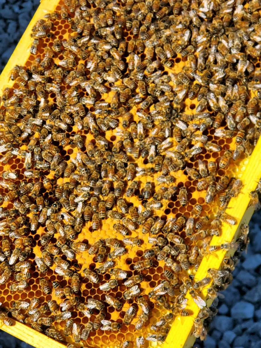 Andrew Horsfield tweet media