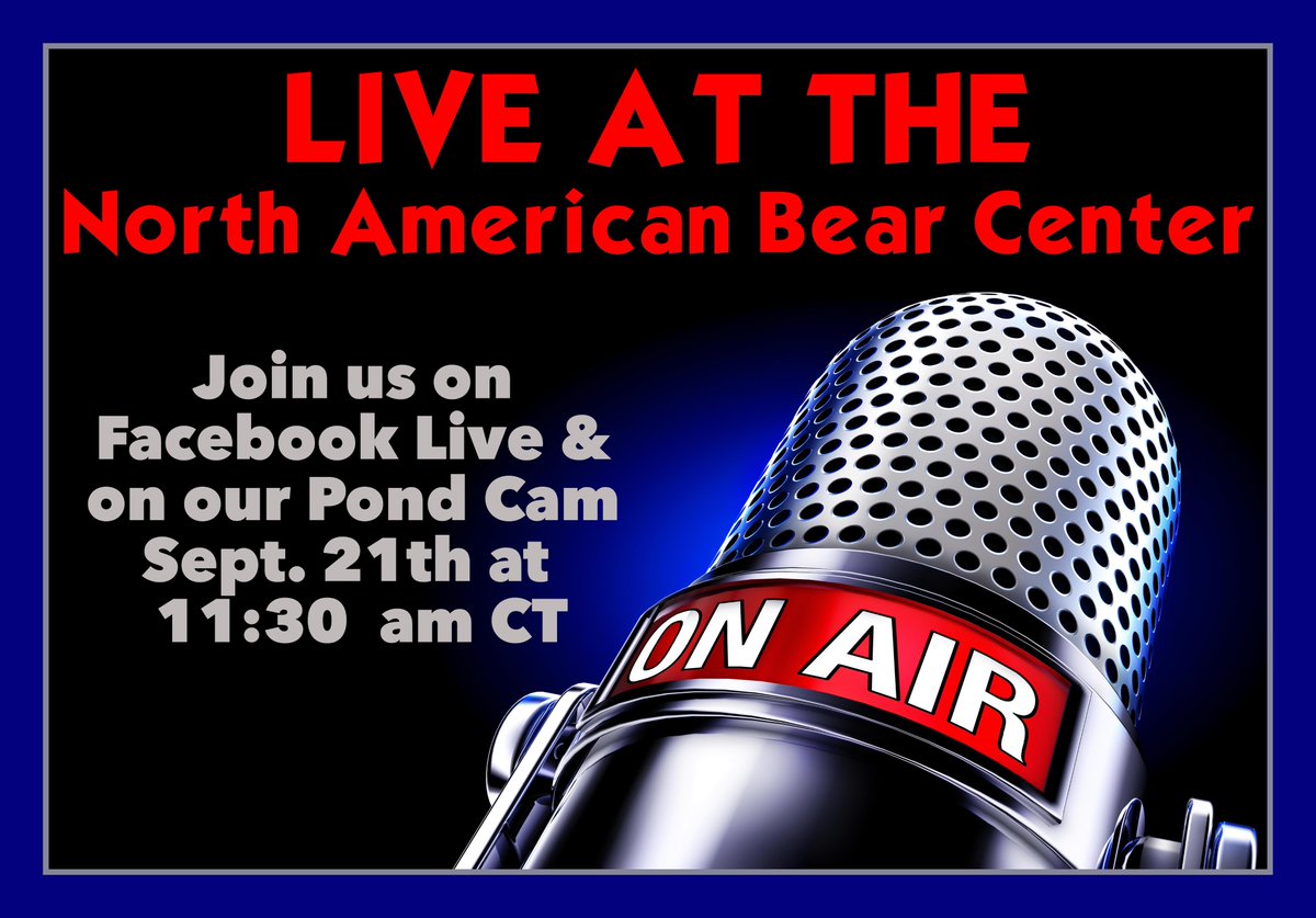 North American Bear Center tweet media