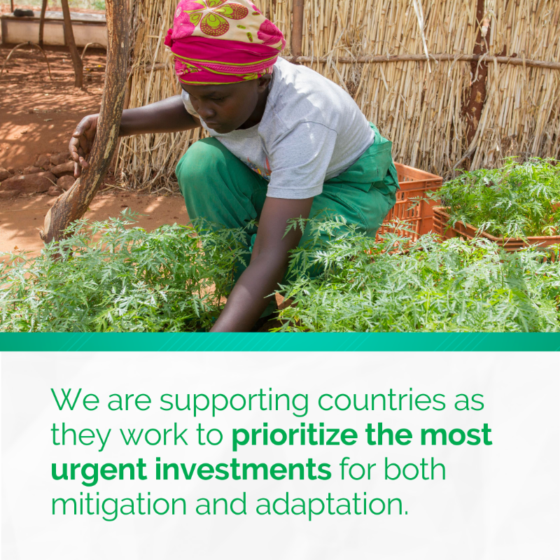 WBG_ClimateEnv's tweet photo. 2022 is already set to rank among the one of the 10 warmest years on record. Learn how the @WorldBank Group is using climate finance to help countries mitigate GHG emissions and adapt to climate impacts. #ClimateActionWBG
