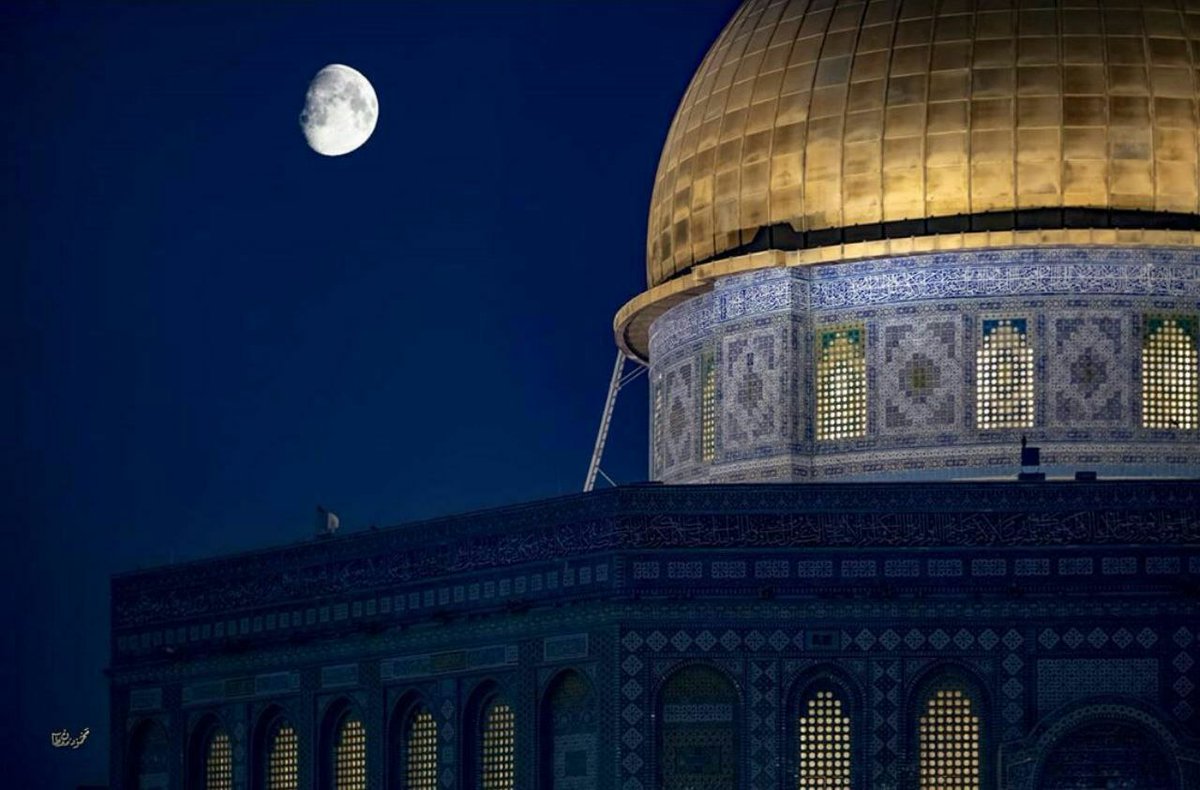 Selwa32978652's tweet image. •••
"وكأَن الشَمس تُقَبِّل القُبة قَبلَ نومِها لِتَطمَئِن♥"
🌸