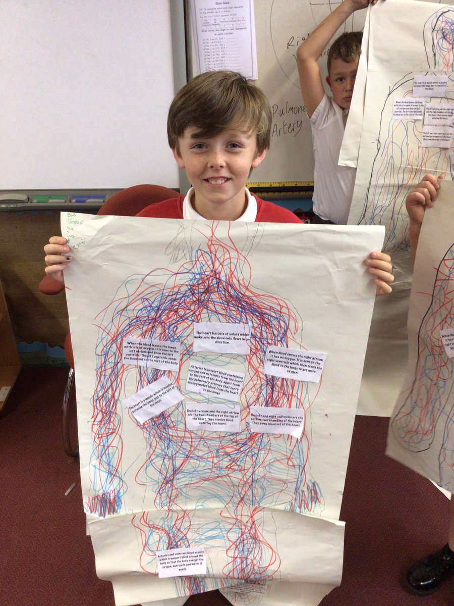 TJPrimary's tweet photo. A great start to looking at our circulatory system in Year 6 today. Labelling a heart, sorting out facts about the system and asking a million and one scientific queries! #TJYear6 #TJScience #TJ6O https://t.co/E8wEJwUYAP