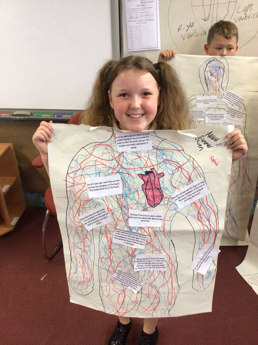 TJPrimary's tweet photo. A great start to looking at our circulatory system in Year 6 today. Labelling a heart, sorting out facts about the system and asking a million and one scientific queries! #TJYear6 #TJScience #TJ6O https://t.co/E8wEJwUYAP