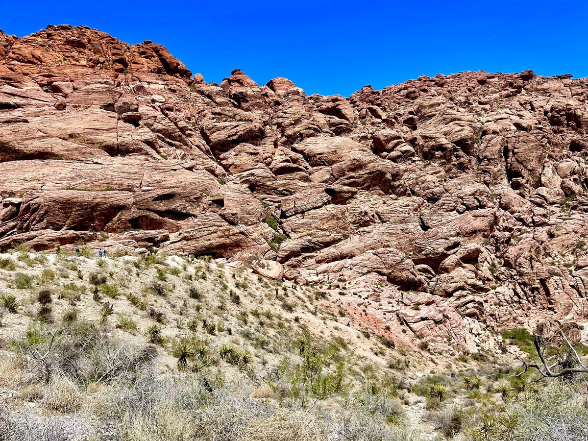 Only 17 miles west of the Las Vegas Strip & you’ll be at Red Rock Canyon NCA!😉

#redrock #redrockcanyon #calicohills #blm #sandstone #naturephotography #travel #roadtrip #nature #findyourpark #travelideas #travelphotography #nevada #lasvegas #visitnevada #explorenevada #hiking