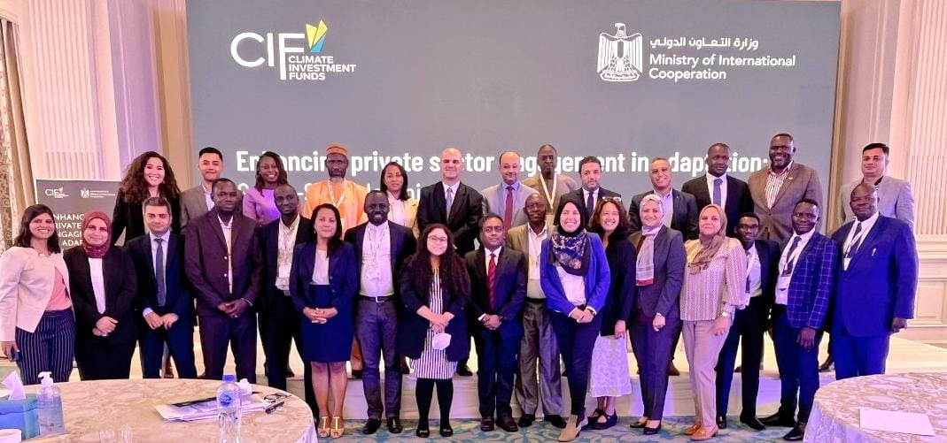 Ifeoluwa Olatayo tweet media