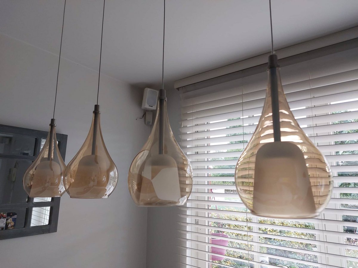 Sabine Froyman tweet media