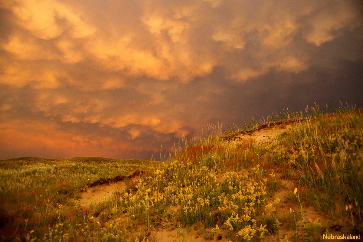 NeblandMagazine's tweet photo. "Stormy Skies and Sandhills Blowouts."
📷: Jon Farrar | Cherry County, Aug., 2004
#Throwback #Sandhills #storm #prairie #Nebraska #BeautifulNebraska #OutdoorNebraska #Nebraskaland https://t.co/BG1tcYFNoI