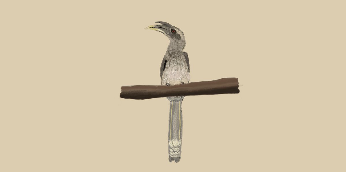 #魔力宝箱|#幸运5|#188|#百万金轮|#BG tweet media