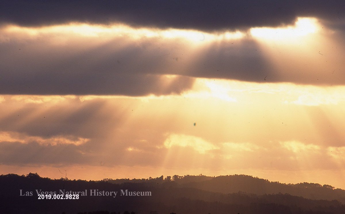 MacDonald Collection #9828
Portugal sunset

#curation #photos #museum #museumarchive #collection
For more information about the collection, contact our Cultural History Collections Manager
@LauraBenedict11