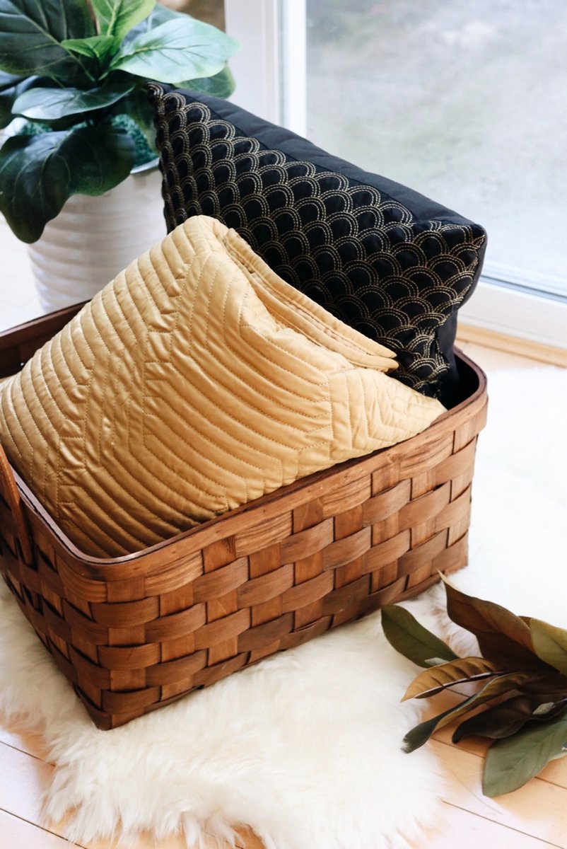 🍂🍁🎃F A L L  into something new for yourself! Cozy season is upon us! 🎃🍁🍂 #LinkInBio