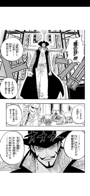 まさかここの鷹の目が本当に普段は平和に傍観してたくて、後輩剣士の成長にワクワクしてお話聞きに来ただけとは思わんやん 