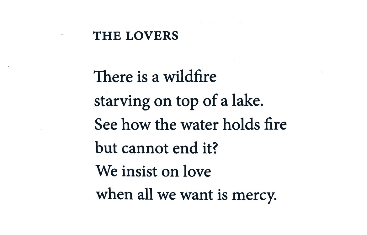 Dr. Maya C. Popa tweet media