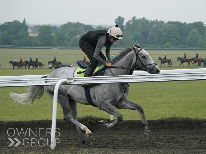 First Folio gets back to winning ways <a href="/GTYarmouthRaces/">Great Yarmouth Races</a> for <a href="/jamesferguson89/">James Ferguson Racing</a> and Taylor Fisher. Congratulations to his ownersgroup.co.uk owners! 👏🏻 🏆 #firstfolio #ownersgroup