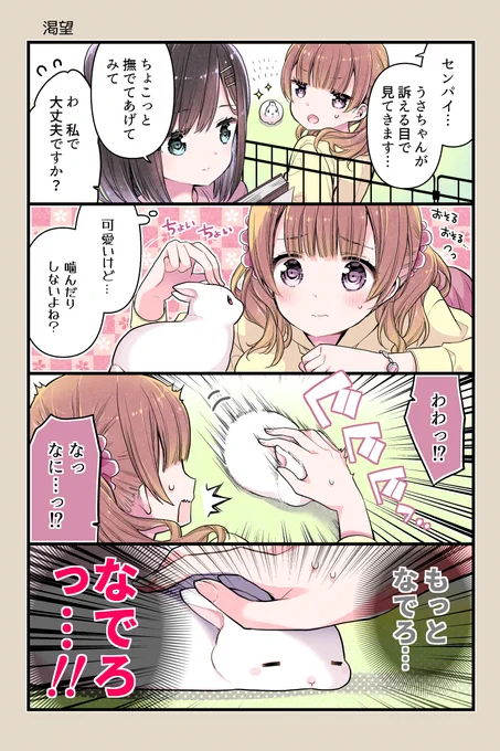 🐰意外と力がつよくてビビる

次回更新は明後日予定です
#うさきょ #4コマ 