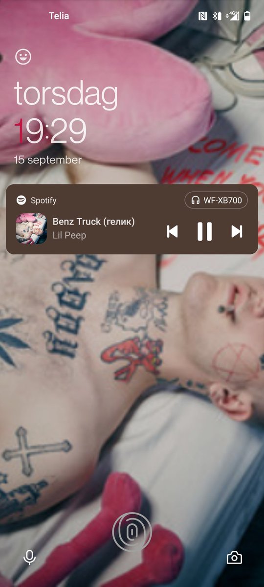 piat00's tweet photo. @sennyk4 Sorry lil peep in the way https://t.co/GmeZAv3qGK