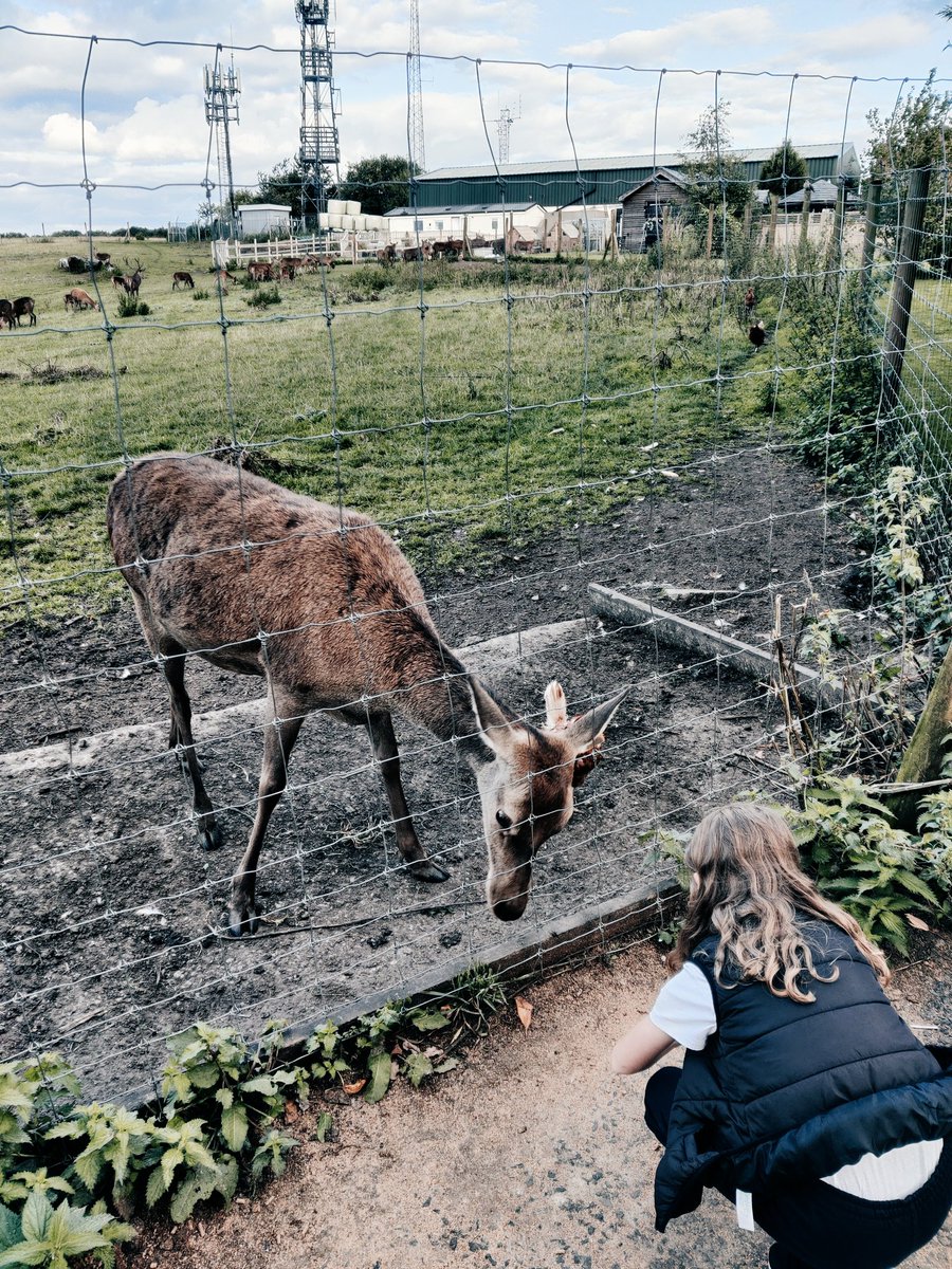 ...lucky having this space 2 mins walk from my front door 🙌