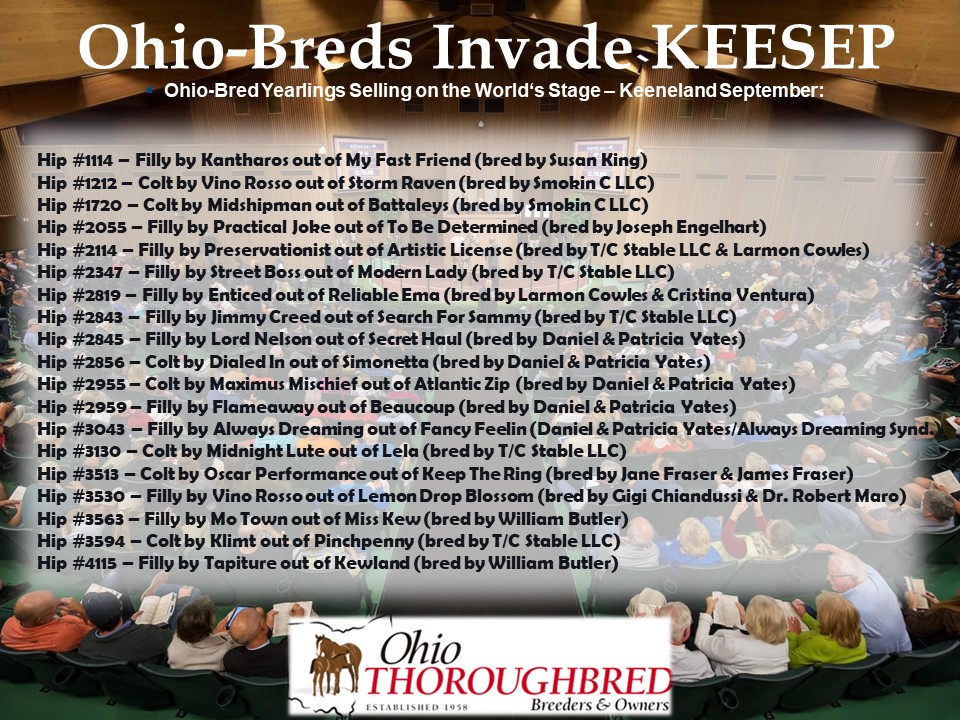 Check out the great group of OH breds selling at <a href="/keeneland/">Keeneland</a>!