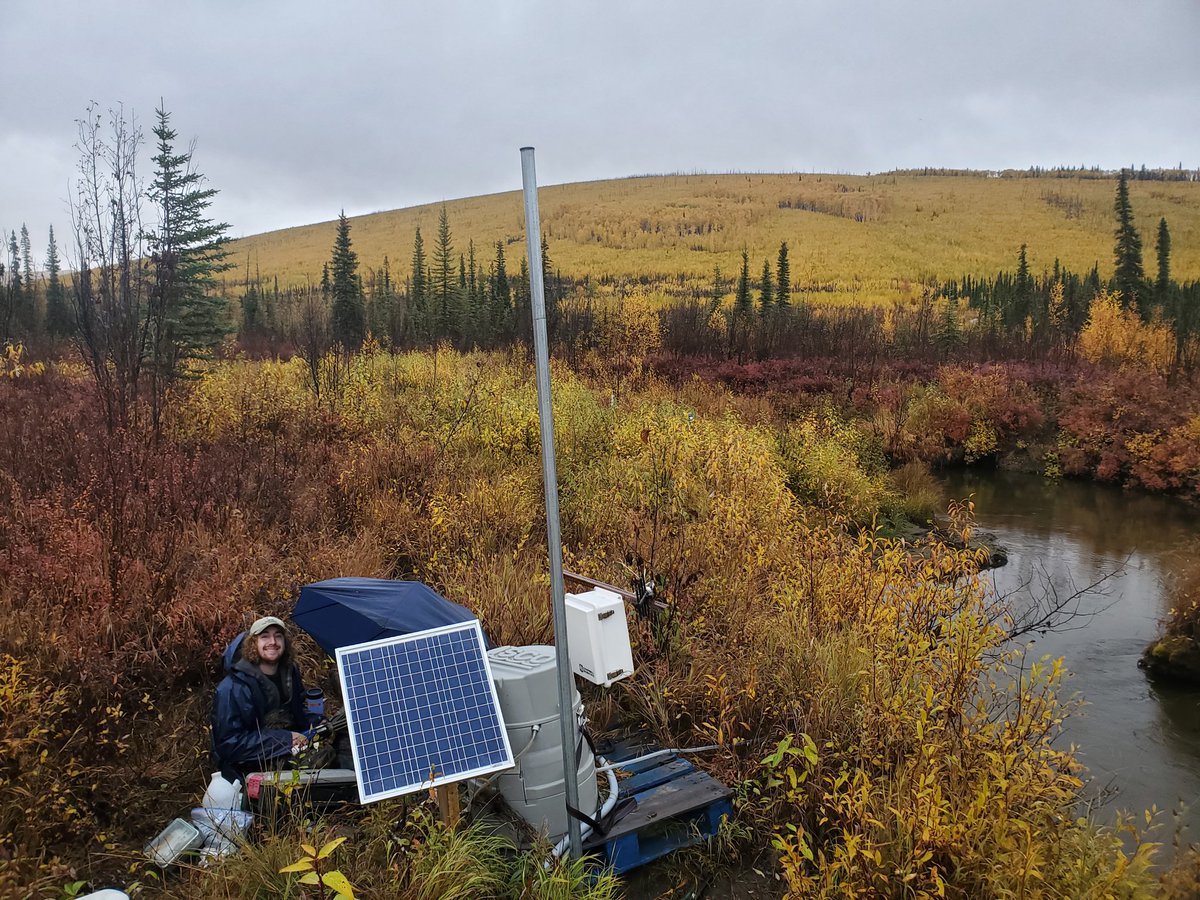 Fall colors at @BNZ_LTER mean changes in stream chemistry are on their way! Featuring <a href="/BioGeoJacob/">Jacob Adams</a>.
