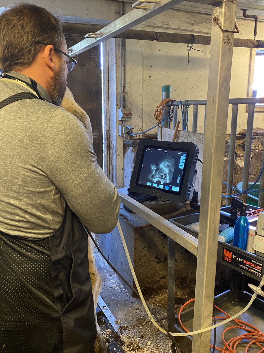forrest_m40's tweet photo. Thank you @Vytelle1 for a great learning experience in genetics and agricultural careers today in Animal Science. It’s a great day when you get to visit your sisters farm and give students once in a lifetime learning opportunities in the same day. #teachag 🐮 https://t.co/Ze3w0nb7hF