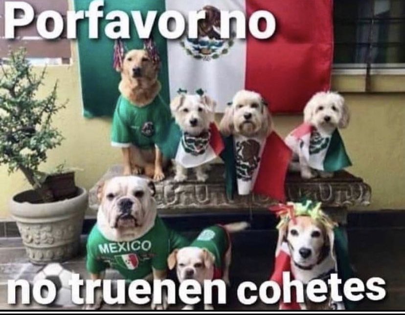 dkarifo's tweet photo. Dejen de mamar

 #IndependenciaDeMexico https://t.co/i4Lzt32aKh