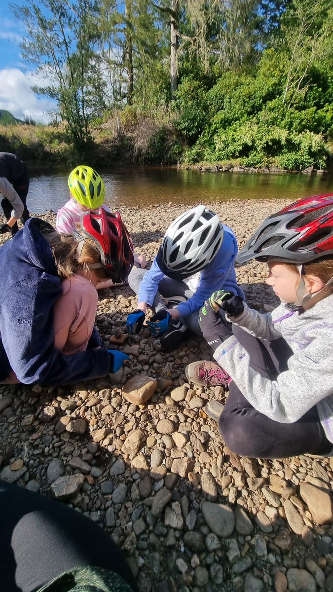 Bonaly Primary tweet media