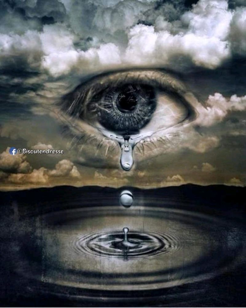 moreiramanuelj's tweet photo. ✨ “Por eso es bueno haber tenido un gran amor, una pasión infeliz en tu vida. Es al menos una coartada para la desesperación sin razón que nos agobia”.  

✒️Albert Camus
 La muerte feliz https://t.co/mQMYXj0AAb