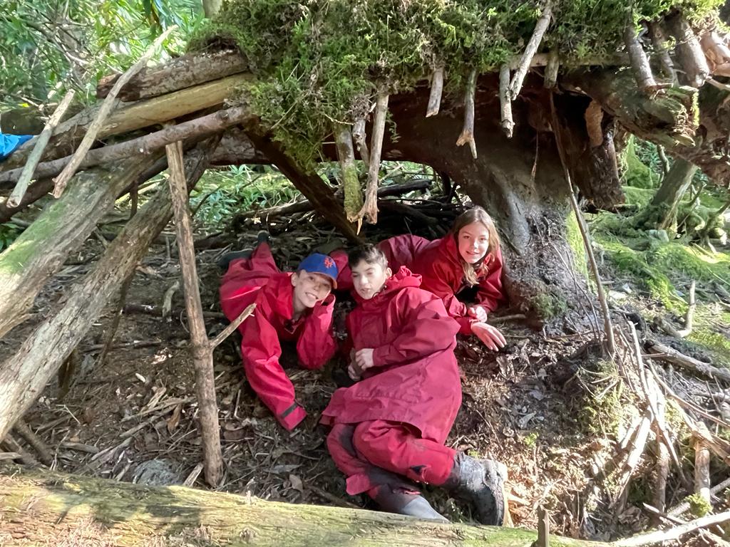 Bonaly Primary tweet media