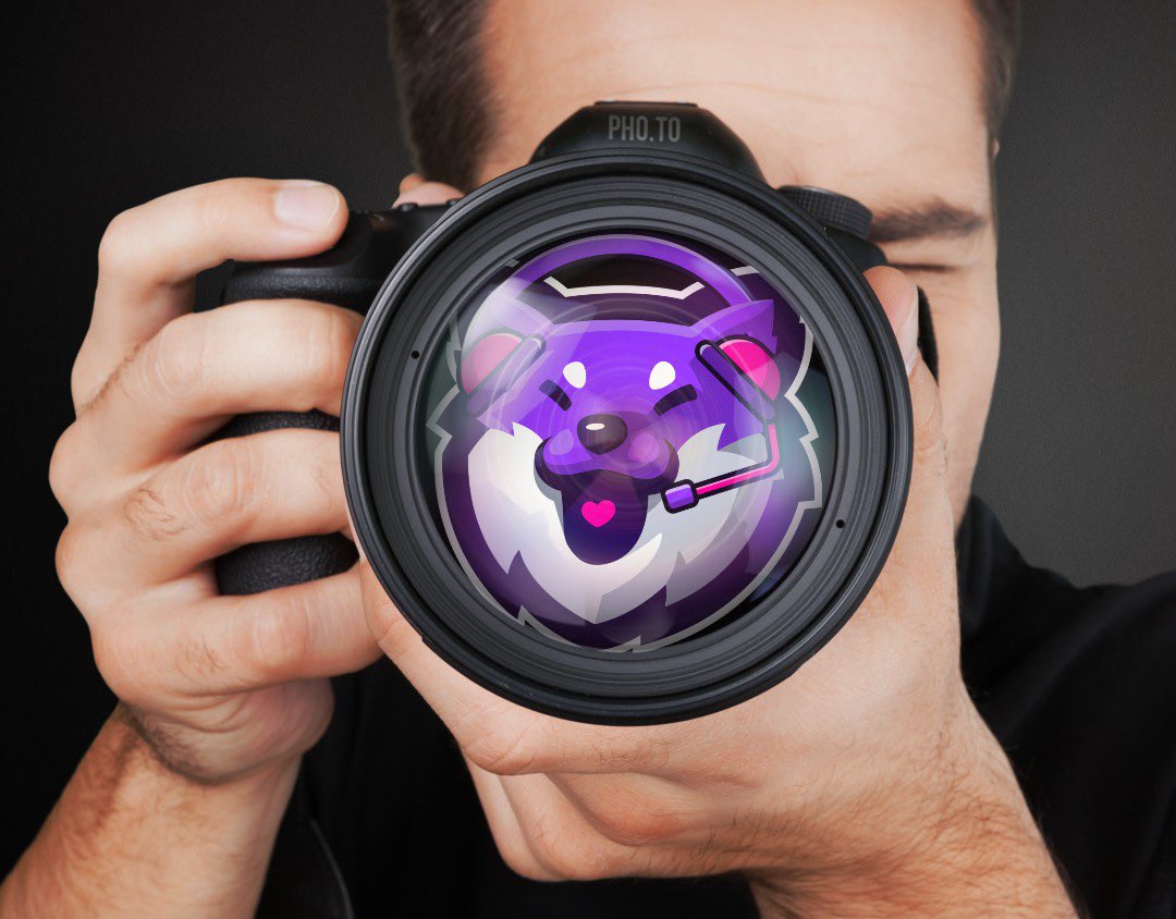 KruptosBandit's tweet photo. Streamie is so photogenic 📸 I think this purple pup deserves a #follo, don’t you?

@StreamerInu #Streamerinu #MEMES 
#memestomillions https://t.co/jo9EZYOY4S