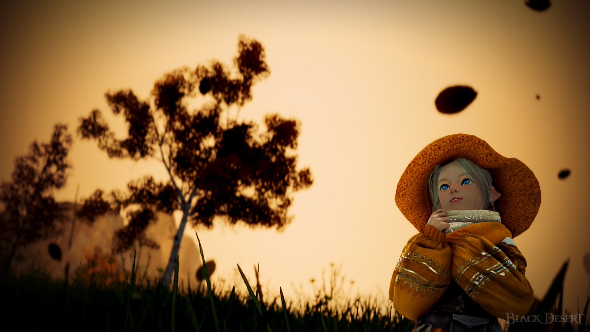 IcewingPictures's tweet photo. Two faces of autumn - Golden hour
@NewsBlackDesert
#BlackDesert #BDORemastered #BlackDesertOnline
#BDO #BDOSS #BDOSelfie #BDOMemories #BDOScreenshot #BDOPhotoshoot #MMORPG #bdonaeu #bdoeuna #BDOSummer #SummerEvent #WednesdayScreenshot https://t.co/q63zavTAMJ