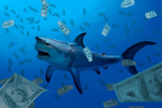 sharktoken0's tweet photo. @saylor Bitcoin is good, but SHARK will make you Billionaire. https://t.co/wpYFrm1KPx