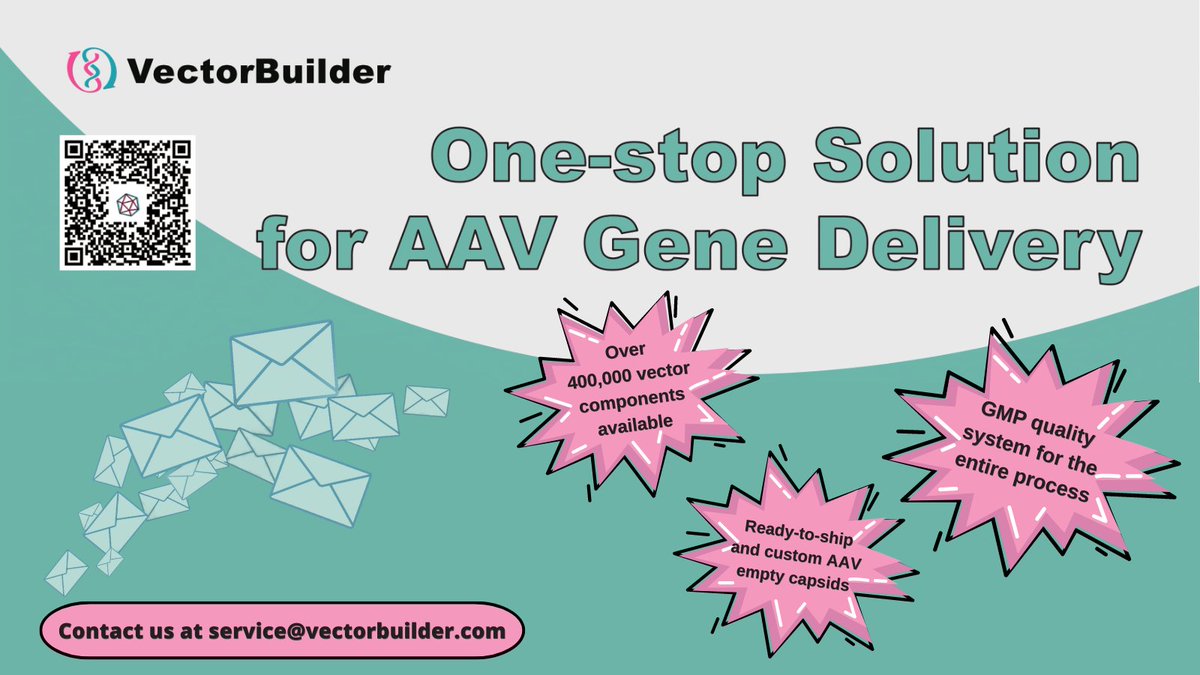 VectorBuilder tweet media